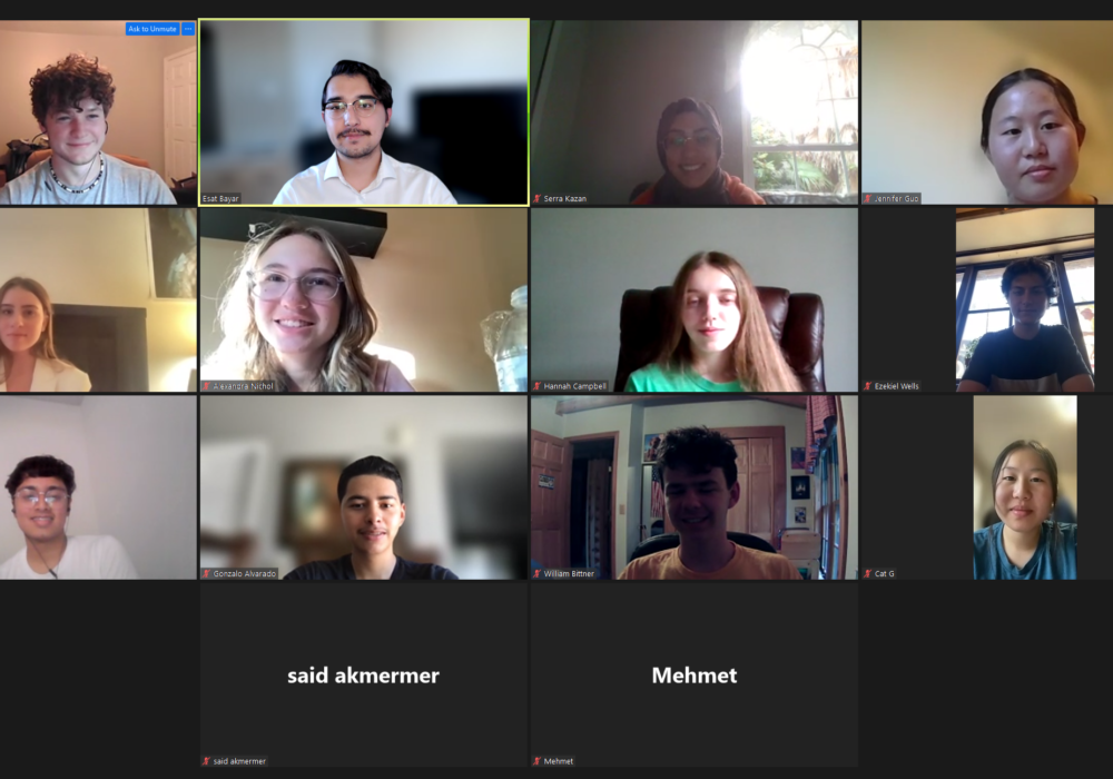 Zoom Call with Fellows