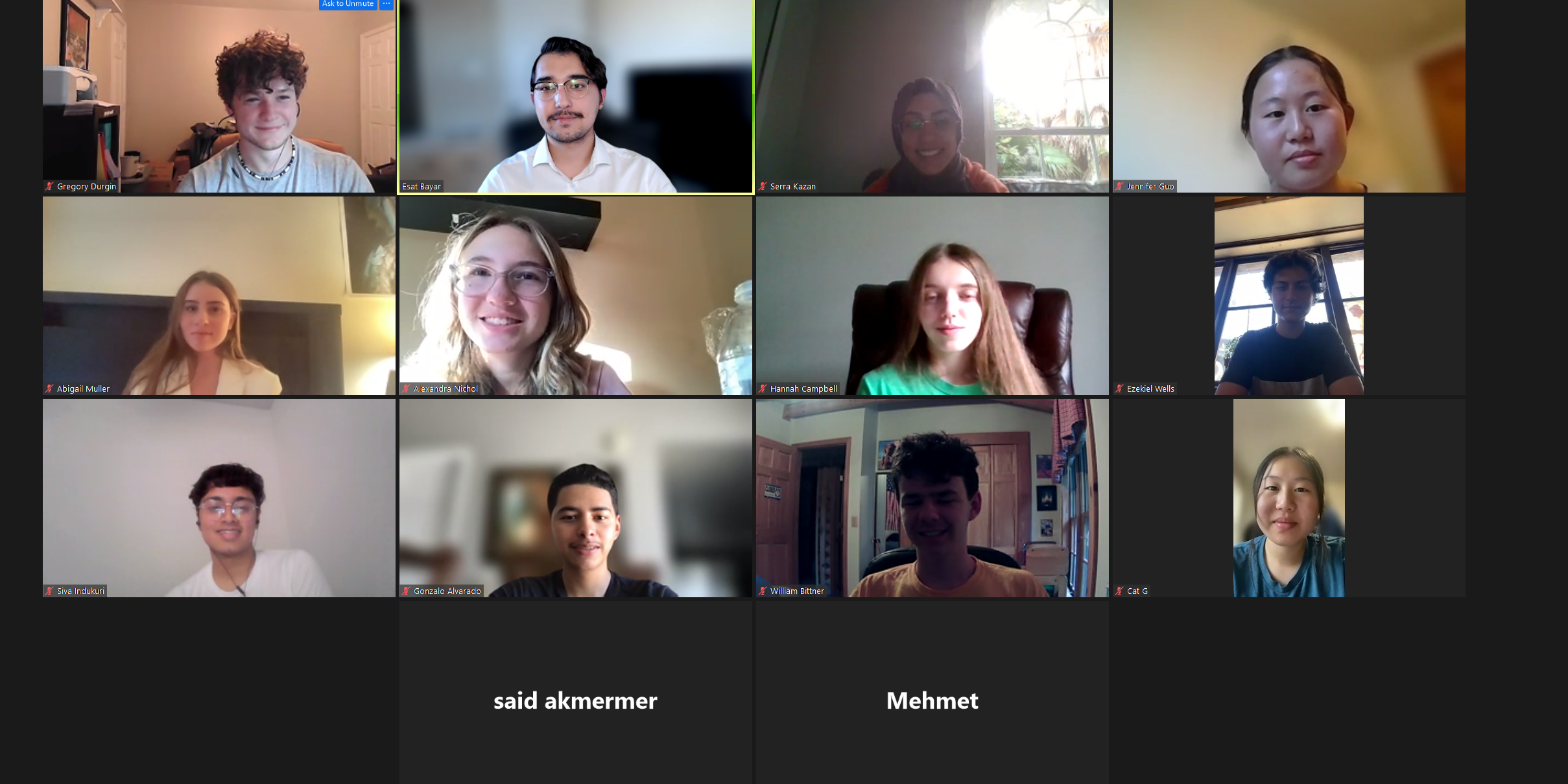 Zoom Mentoring Session